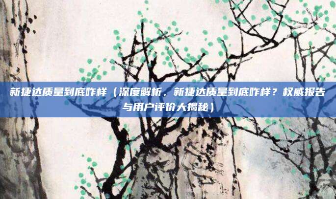 新捷达质量到底咋样（深度解析，新捷达质量到底咋样？权威报告与用户评价大揭秘）