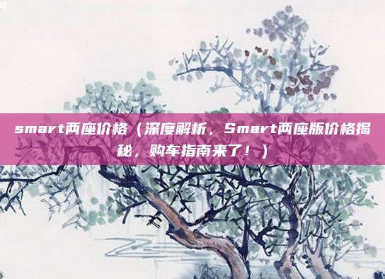 smart两座价格（深度解析，Smart两座版价格揭秘，购车指南来了！）