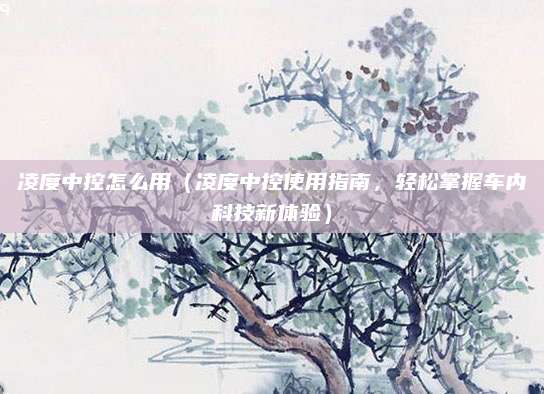 凌度中控怎么用(凌度中控使用指南,轻松掌握车内科技新体验)