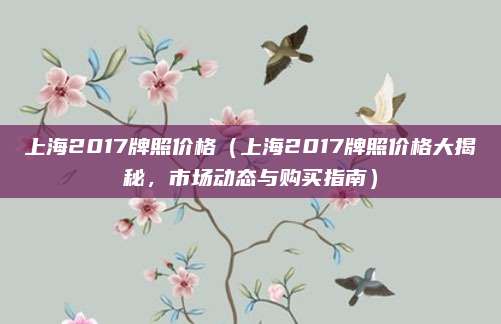 上海2017牌照价格（上海2017牌照价格大揭秘，市场动态与购买指南）