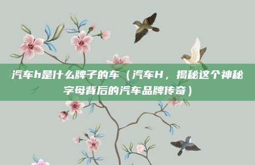 汽车h是什么牌子的车（汽车H，揭秘这个神秘字母背后的汽车品牌传奇）