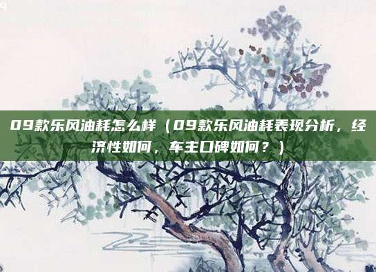 09款乐风油耗怎么样(09款乐风油耗表现分析,经济性如何,车主口碑如何?)