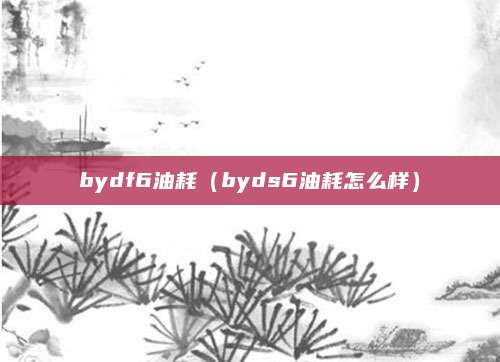 bydf6油耗(byds6油耗怎么样)