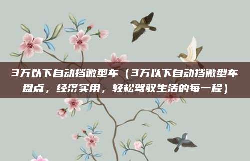 3万以下自动挡微型车(3万以下自动挡微型车盘点,经济实用,轻松驾驭生活的每一程)