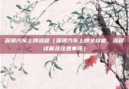 深圳汽车上牌流程（深圳汽车上牌全攻略，流程详解及注意事项）