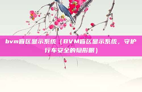 bvm盲区显示系统(BVM盲区显示系统,守护行车安全的隐形眼)