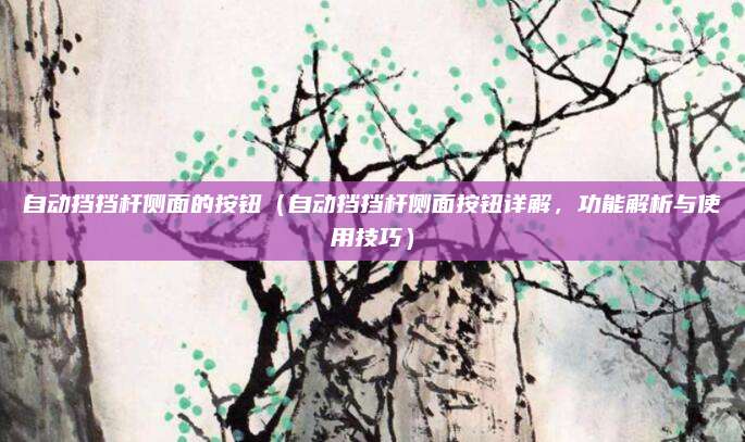 自动挡挡杆侧面的按钮(自动挡挡杆侧面按钮详解,功能解析与使用技巧)