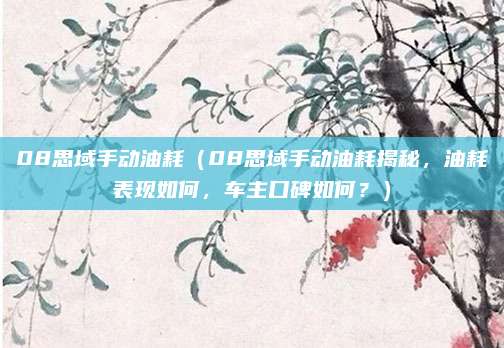 08思域手动油耗(08思域手动油耗揭秘,油耗表现如何,车主口碑如何?)