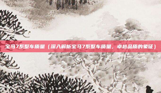 宝马7系整车质量(深入解析宝马7系整车质量,卓越品质的象征)