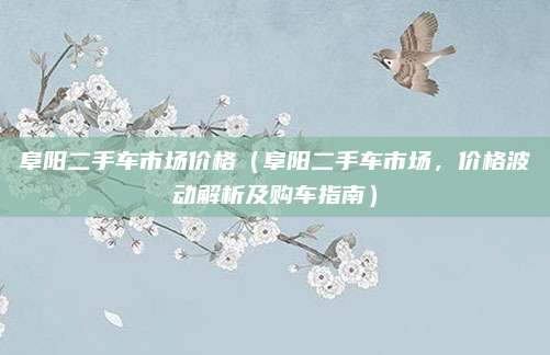 阜阳二手车市场价格（阜阳二手车市场，价格波动解析及购车指南）