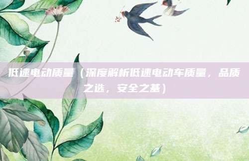 低速电动质量(深度解析低速电动车质量,品质之选,安全之基)