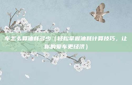 车怎么算油耗多少（轻松掌握油耗计算技巧，让你的爱车更经济）