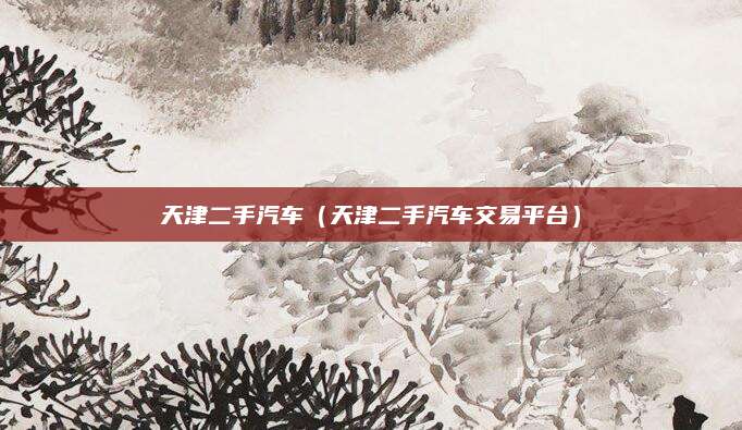 天津二手汽车(天津二手汽车交易平台)