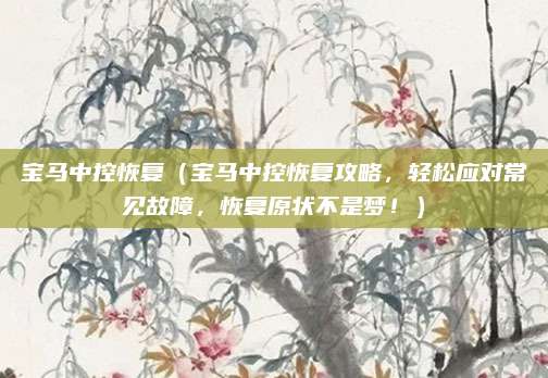 宝马中控恢复(宝马中控恢复攻略,轻松应对常见故障,恢复原状不是梦!)