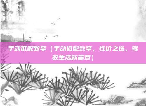 手动低配致享(手动低配致享,性价之选,驾驭生活新篇章)