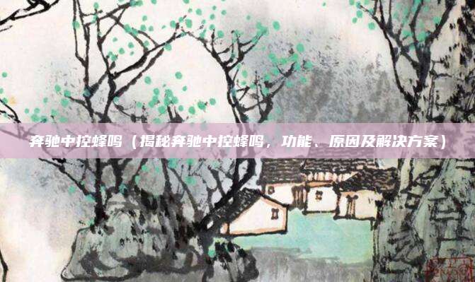 奔驰中控蜂鸣(揭秘奔驰中控蜂鸣,功能、原因及解决方案)
