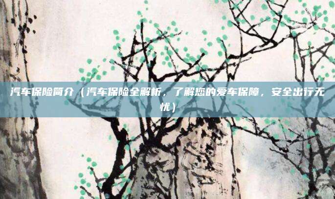 汽车保险简介（汽车保险全解析，了解您的爱车保障，安全出行无忧）