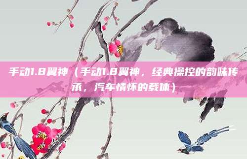 手动1.8翼神(手动1.8翼神,经典操控的韵味传承,汽车情怀的载体)