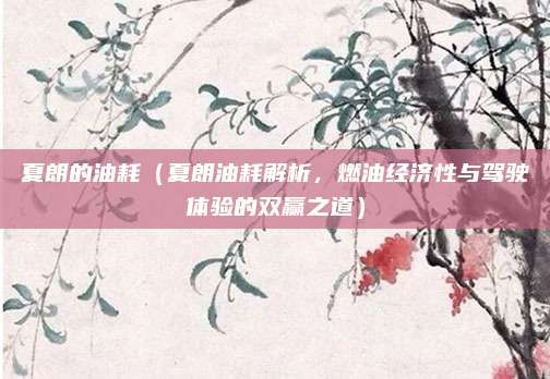 夏朗的油耗(夏朗油耗解析,燃油经济性与驾驶体验的双赢之道)