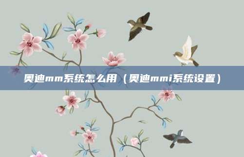 奥迪mm系统怎么用(奥迪mmi系统设置)