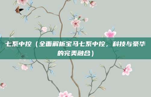 七系中控（全面解析宝马七系中控，科技与豪华的完美融合）