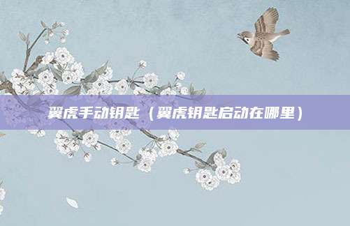 翼虎手动钥匙(翼虎钥匙启动在哪里)