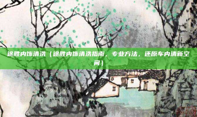 途胜内饰清洗(途胜内饰清洗指南,专业方法,还原车内清新空间)