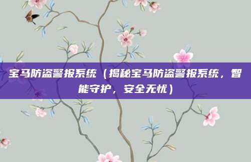 宝马防盗警报系统(揭秘宝马防盗警报系统,智能守护,安全无忧)