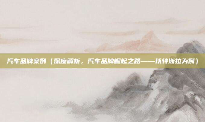 汽车品牌案例(深度解析,汽车品牌崛起之路——以特斯拉为例)