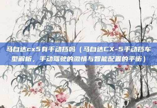 马自达cx5有手动挡吗(马自达CX-5手动挡车型解析,手动驾驶的激情与智能配置的平衡)