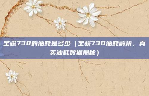 宝骏730的油耗是多少(宝骏730油耗解析,真实油耗数据揭秘)
