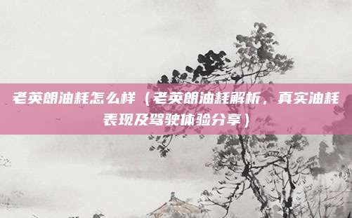 老英朗油耗怎么样(老英朗油耗解析,真实油耗表现及驾驶体验分享)