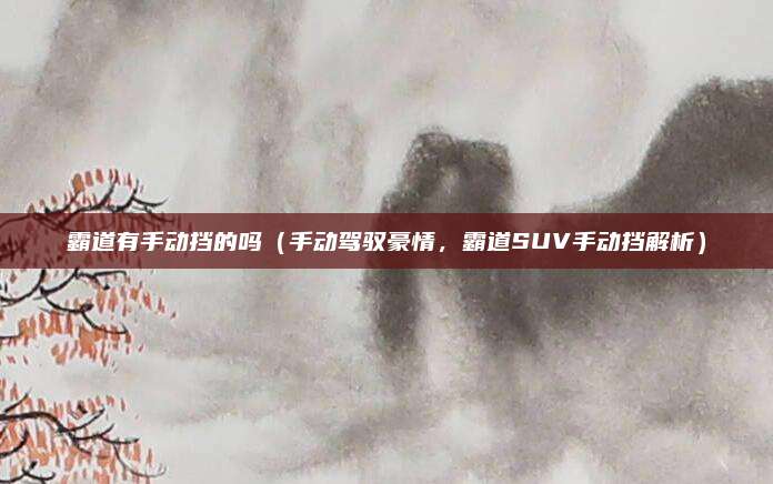 霸道有手动挡的吗(手动驾驭豪情,霸道SUV手动挡解析)