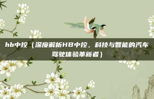 hb中控(深度解析HB中控,科技与智能的汽车驾驶体验革新者)