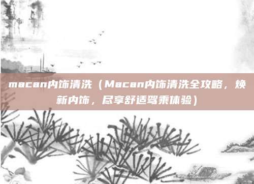 macan内饰清洗(Macan内饰清洗全攻略,焕新内饰,尽享舒适驾乘体验)