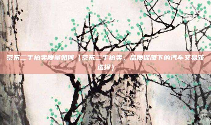 京东二手拍卖质量如何(京东二手拍卖,品质保障下的汽车交易新选择)