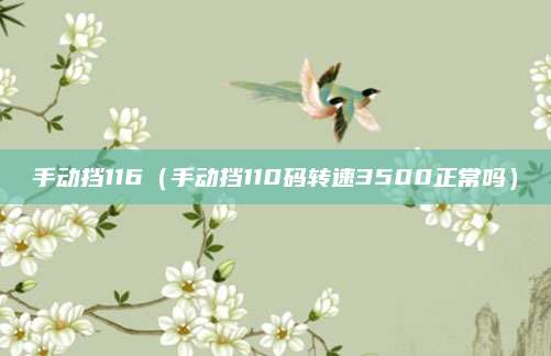 手动挡116(手动挡110码转速3500正常吗)