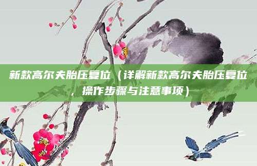 新款高尔夫胎压复位（详解新款高尔夫胎压复位，操作步骤与注意事项）