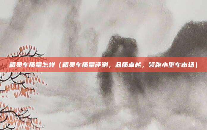精灵车质量怎样（精灵车质量评测，品质卓越，领跑小型车市场）