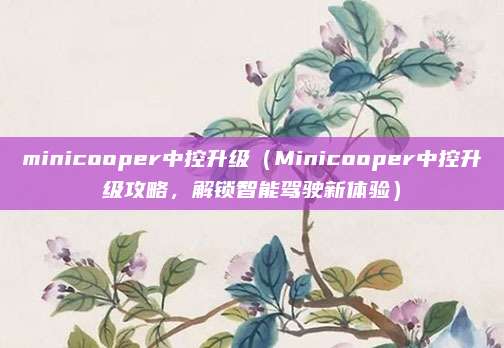 minicooper中控升级（Minicooper中控升级攻略，解锁智能驾驶新体验）