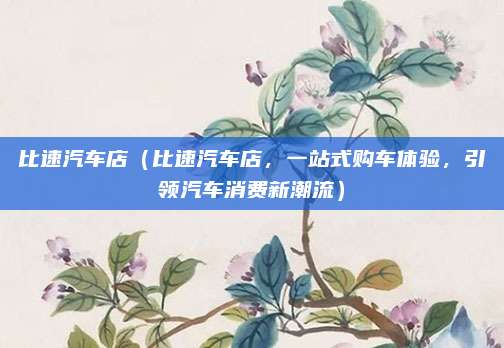 比速汽车店(比速汽车店,一站式购车体验,引领汽车消费新潮流)