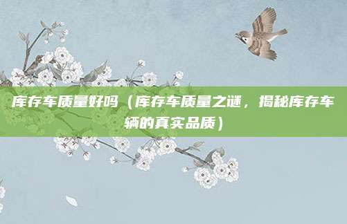 库存车质量好吗（库存车质量之谜，揭秘库存车辆的真实品质）