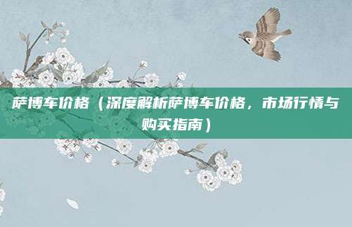 萨博车价格(深度解析萨博车价格,市场行情与购买指南)