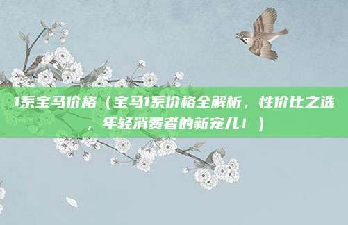 1系宝马价格（宝马1系价格全解析，性价比之选，年轻消费者的新宠儿！）