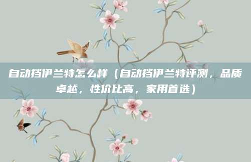 自动挡伊兰特怎么样（自动挡伊兰特评测，品质卓越，性价比高，家用首选）