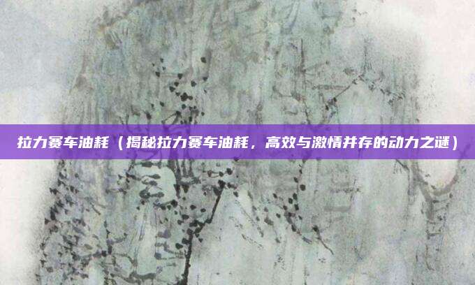 拉力赛车油耗(揭秘拉力赛车油耗,高效与激情并存的动力之谜)