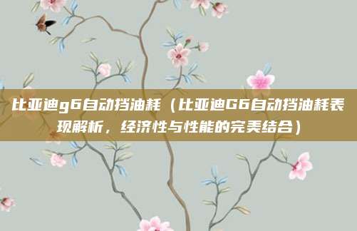 比亚迪g6自动挡油耗(比亚迪G6自动挡油耗表现解析,经济性与性能的完美结合)