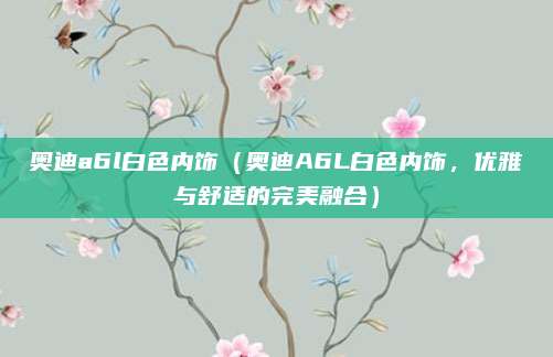 奥迪a6l白色内饰（奥迪A6L白色内饰，优雅与舒适的完美融合）