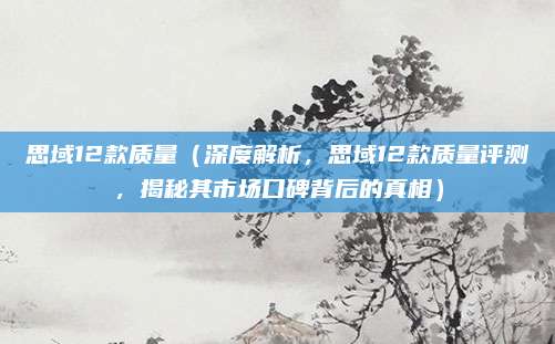 思域12款质量（深度解析，思域12款质量评测，揭秘其市场口碑背后的真相）
