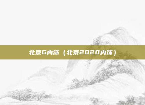 北京G内饰(北京2020内饰)